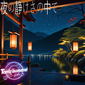 夜の静けさの中で
