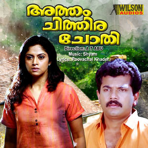 Marivillin Nattukari