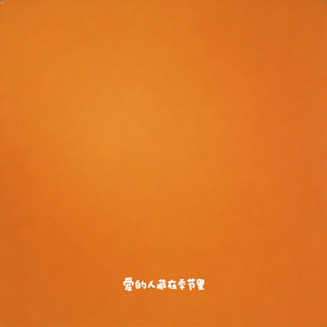 爱的人藏在季节里