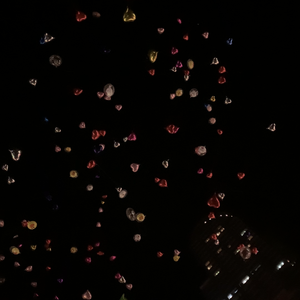 可能性 (Possibility）