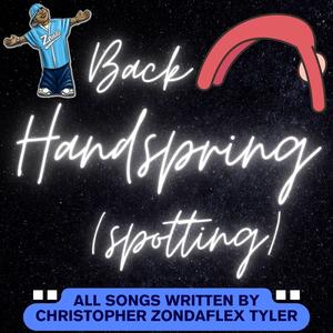 Back Handspring Spotting