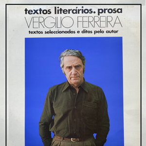 Aparição (Romance - Excerto do Capitulo XI)