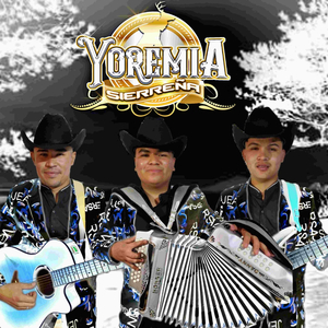 Pongámonos De Acuerdo (En Vivo)