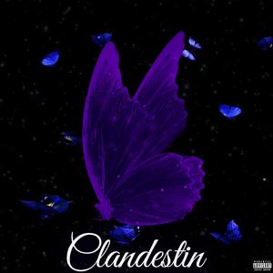 CLANDESTIN