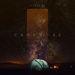 Forest Campfire (Seamless)