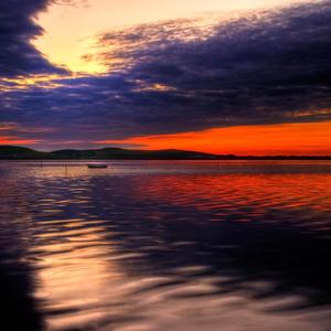 王贰浪-往后余生（斑马老死了 remix）