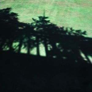 沦陷(迷人的笑脸吸引视线)