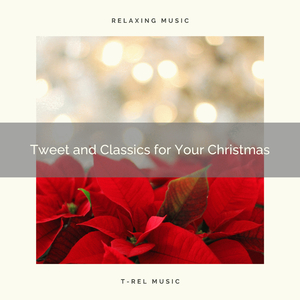 Happy are Christmas with Classics and Calmful Wild Birds Tweets