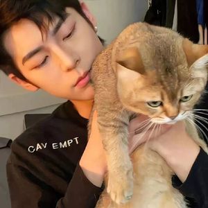 曹芙嘉-好久不见