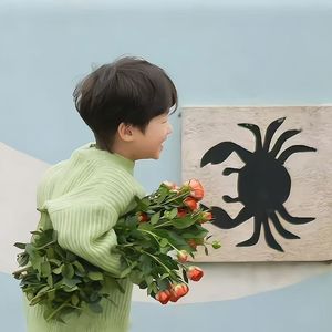 节日的烟火与星辰