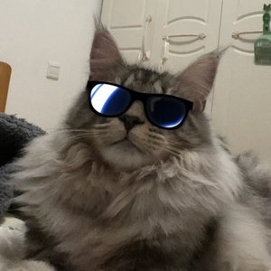 守望银辉
