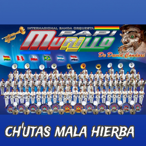 Ch'utas Mala Hierba