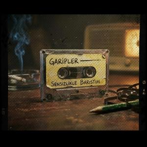 sensizlikle barıştım