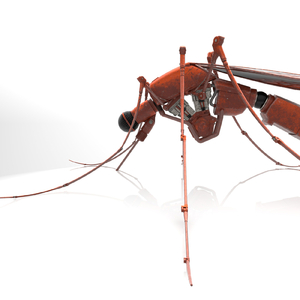 ダンサーインザダーク