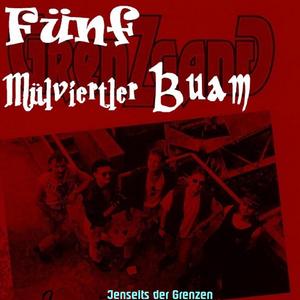 Fünf Mühlviertler Buam