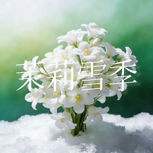 茉莉雪季