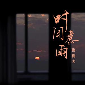 时间煮雨
