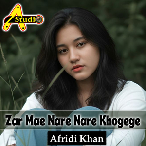 Zar Mae Nare Nare Khogege