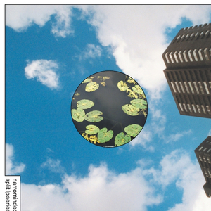 Thanks, Friendly Sorcerer