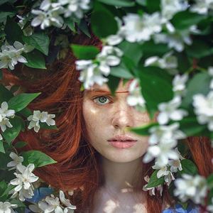 Fiorire