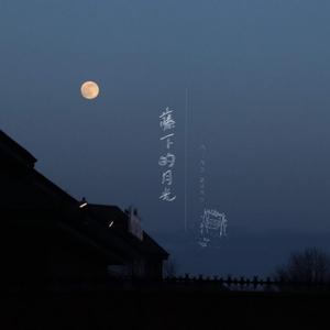 藤下的月光