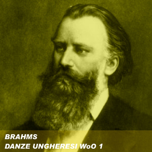 Danza ungherese n.5 in fa diesis minore. Allegro