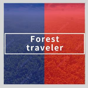 Foreste traveler（Original mix）