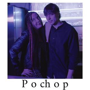 Pochop
