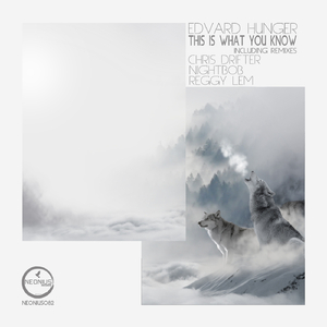 This Is What You Know (Nightbob Remix)