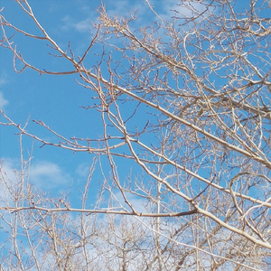 2022 Stronger Than Yesterday