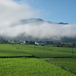 云山一念