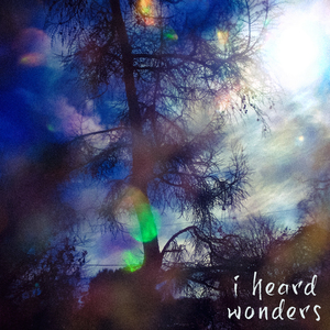 I Heard Wonders