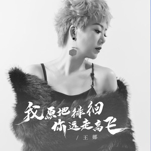 我原地徘徊你远走高飞 (DJ彭锐版)