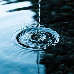 夜泊秦淮近酒家