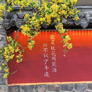 爱情是场博弈，我总想让你赢