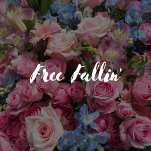 Free Fallin'