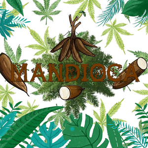 Mandioca