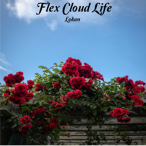 Flex Cloud Life