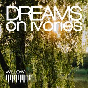 Willow (Instrumental Cover Version)