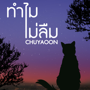 ทำไมไม่ลืม