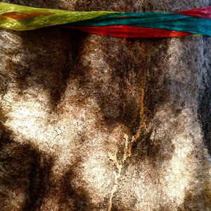 Garden Of Liberation