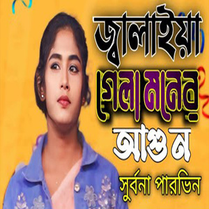 জ্বালাইয়া গেলা মনের আগুন