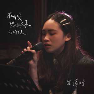 在我想起你的时候