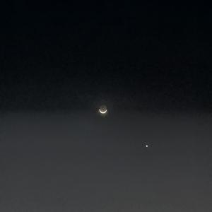 游魂与月亮----《营业悖论》原创同人曲