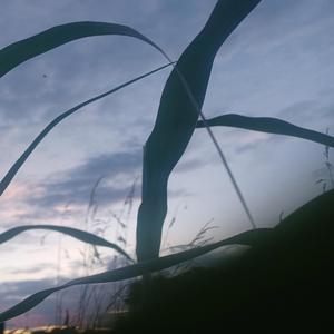 trotventurs1 properly thus