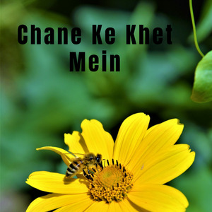 Chhaura Khiya Ke