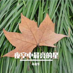 夜空中最亮的星