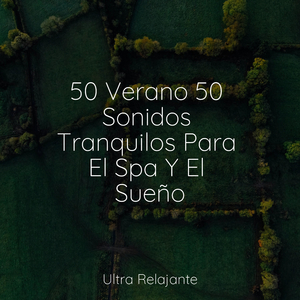 Amanecer De La Mañana