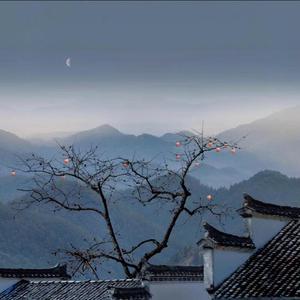 在这路遥马急的人间里