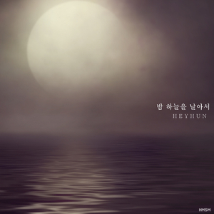 밤 하늘을 날아서